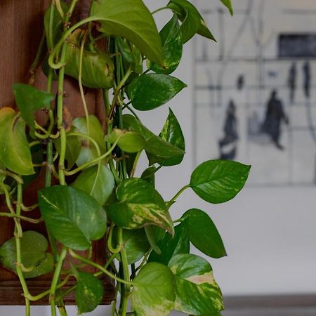 Casa D'Artista - Charming Apartment + Parking Torino Kültér fotó